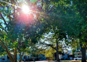 Thumbnail 13 of 19 - a picnic table in a park with the sun shining through the trees