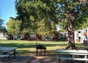 Thumbnail 14 of 19 - a park with picnic tables and a tree