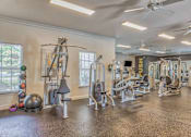 Thumbnail 10 of 20 - A gym with a variety of exercise equipment including a weight rack, a leg press machine, a treadmill, and a stationary bike.
