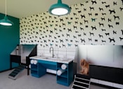 Thumbnail 9 of 29 - pet spa at solstice at june lake apartments near nashville
