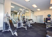 Thumbnail 15 of 31 - a gym with cardio equipment and mirrors in a building