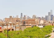 Thumbnail 31 of 31 - the skyline of the city with trees in the foreground
