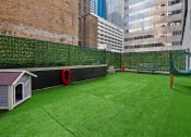 Thumbnail 4 of 28 - Expansive Dog Park for Furry Friends