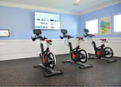 Thumbnail 9 of 36 - Three stationary bikes are lined up in a room.