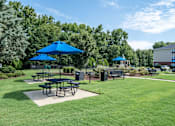 Thumbnail 33 of 40 - A park with a picnic table and blue umbrellas.