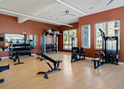 Thumbnail 21 of 53 - A gym with a variety of equipment including treadmills, weights, and exercise machines.