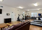 Thumbnail 19 of 28 - A living room with a treadmill and a couch.