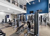 Thumbnail 10 of 32 - A gym with a variety of equipment including dumbbells, weight machines, and benches.