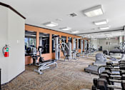 Thumbnail 8 of 14 - A gym with a variety of equipment including treadmills, weights, and exercise machines.
