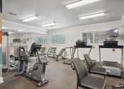Thumbnail 19 of 25 - a gym with treadmills and other exercise equipment and windows