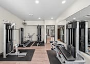 Thumbnail 9 of 25 - A gym with a variety of equipment including treadmills, weights, and exercise machines.