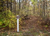 Thumbnail 29 of 35 - a trail sign on the side of a trail in the woods