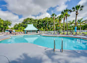 Thumbnail 19 of 24 - a resort style pool with palm trees and a gazebo