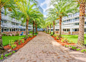 Thumbnail 20 of 24 - a courtyard with palm trees and a brick walkway