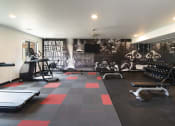 Thumbnail 17 of 61 - Amenity, Luxury, Resident, Apartment, High end, Fitness Center, Free weights, cardio equipment