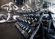 Thumbnail 18 of 61 - Amenity, Luxury, Resident, Apartment, High end, Fitness Center, Free weights, cardio equipment