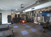 Thumbnail 15 of 61 - Amenity, Luxury, Resident, Apartment, High end, Fitness Center, Free weights, cardio equipment