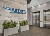 Thumbnail 2 of 61 - the current office lobby with elevators and potted plants