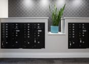 Thumbnail 35 of 50 - a row of mailboxes on a wall with a plant in a blue pot  at Dillard Apartments, Fargo, North Dakota, 58102