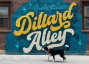 Thumbnail 50 of 50 - Dillard Alley at Dillard Apartments, Fargo, North Dakota 58102