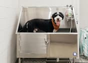 Thumbnail 15 of 17 - Dog washing station with stainless steel tub at The Avery - Residential Apartments, Fargo, 58102