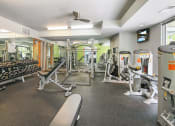 Thumbnail 20 of 86 - the gym at the flats at big tex apartments