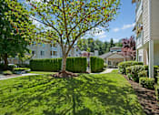 Thumbnail 27 of 32 - A landscaped courtyard here at Windsong featuring lush green lawns, mature trees, and trimmed hedges. This bright and welcoming outdoor space offers peaceful walking paths, open grassy areas, and a charming community building nearby.