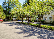 Thumbnail 29 of 32 - A tree-lined community drive here at Windsong featuring mature shade trees, landscaped greenery, and well-maintained buildings. This peaceful and inviting setting offers a welcoming entrance and a calm, neighborhood atmosphere.