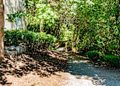 Thumbnail 25 of 32 - A wooded walking path here at Windsong featuring lush greenery, mature trees, and a charming wooden bridge. This peaceful and scenic setting offers shaded trails and a tranquil atmosphere perfect for relaxing outdoor strolls.