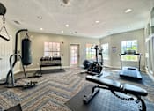 Thumbnail 20 of 25 - A well-equipped gym with a variety of exercise equipment.