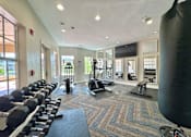Thumbnail 21 of 25 - A gym with a variety of equipment including dumbbells, a treadmill, and a punching bag.