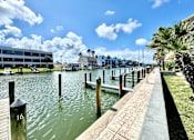 Thumbnail 24 of 25 - A dock with a building in the background and palm trees.