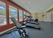 Thumbnail 11 of 17 - A gym with a row of treadmills and a motivational wall slogan.