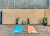 Thumbnail 10 of 20 - a pair of blue and orange yoga mats sit on a tile floor next to potted plants
