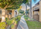 Thumbnail 4 of 29 - the enclave at homecoming terra vista walkway