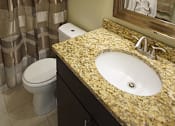 Thumbnail 22 of 36 - Updated apartment bathroom with dark cabinets and granite counter.