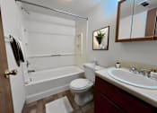 Thumbnail 14 of 39 - Master Bathroom at Renova of Brunswick Apartments, Brunswick, Ohio