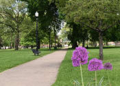 Thumbnail 5 of 9 - Lincoln Park at Tremont Terraces Apartments, Integrity Realty LLC, Ohio