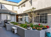 Thumbnail 12 of 15 - Courtyard at Tilden Oaks Apartments.