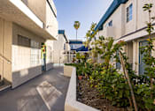 Thumbnail 11 of 19 - Courtyard at Tilden Oaks Apartments.