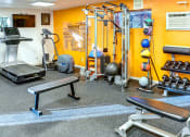 Thumbnail 14 of 22 - a gym with weights and cardio equipment in a home gym