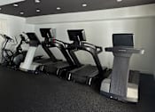 Thumbnail 17 of 31 - Fitness center including multiple treadmills, bikes, and ellipticals.