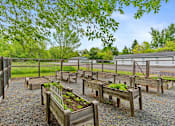 Thumbnail 7 of 27 - A garden with wooden planters and gravel ground.