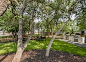 Thumbnail 10 of 17 - a park with trees and a table and benches