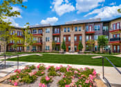 Thumbnail 47 of 48 - 1 bedroom apartments for rent frisco tx
