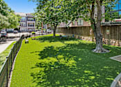 Thumbnail 38 of 55 - A green lawn with a tree in the middle and a fence around it.