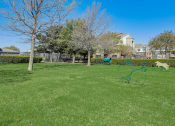 Thumbnail 32 of 42 - the preserve at ballantyne commons dog park