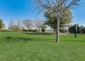 Thumbnail 34 of 42 - a park with a tree and a shadow of a tree