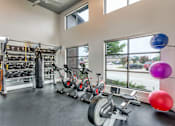 Thumbnail 31 of 36 - Bright gym featuring free weights, punching bag, cardio bikes, and natural light.