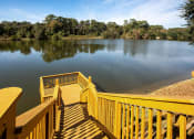 Thumbnail 24 of 25 - Luxury Apartments in The Woodlands